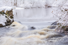 TÄ2202_01_Helena_Hakulinen