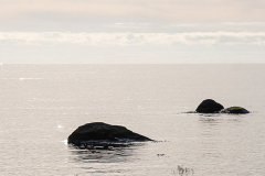 2511_11_Paula Arvola