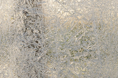 2511_12_Paula Arvola