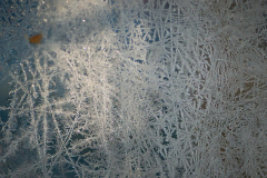 2511_13_Lena Johansson