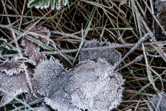 2511_17_Ingmar Johansson