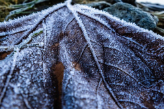 2511_1_Mikael Nygren