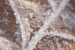 2511_5_Karmen Björkman