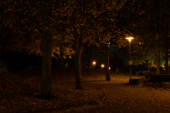 UT2011_10_Paula_Arvola