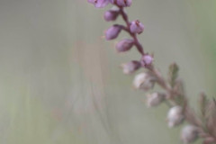EV2608_7_Tina-Stridfeldt