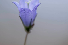 EV2608_8_Tina-Stridfeldt