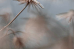EV2608_9_Tina-Stridfeldt