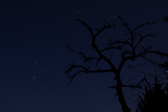 UT1601_4_Nicke_Svensson