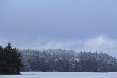 EV2101_15_Ing-Marie_Nilsson