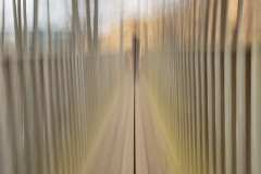 EV2604_10_Karmen-Bjorkman