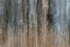 EV2604_12_Karmen-Bjorkman