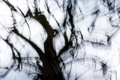 EV2604_14_Janne-Helge