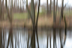 EV2604_19_Paula-Arvola