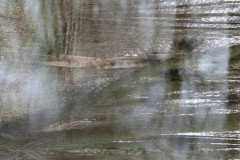 EV2604_21_Saipin-Kammool