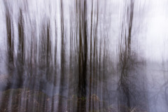 EV2604_3_Mikael-Nygren