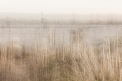 EV2604_5_Marjo-Ronka