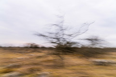 EV2604_9_Ingmar-Holmberg