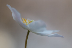UT1904_19_Christina_Andersson